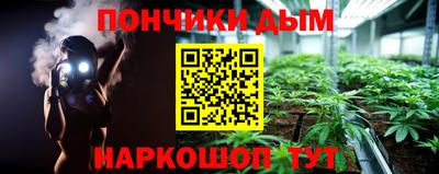 гидра Дубна